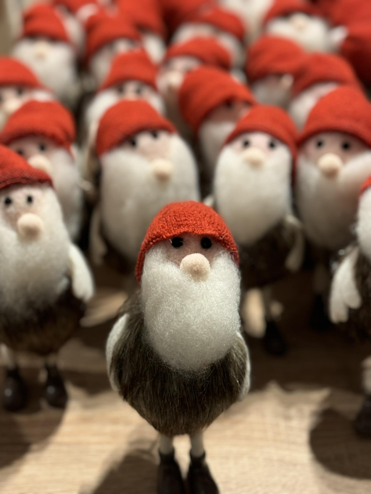 Santa Claus Gnome Santa Claus Gnome